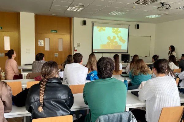 14 de Noviembre: Talleres ¿Qué es para ti la muerte? en la UCLM