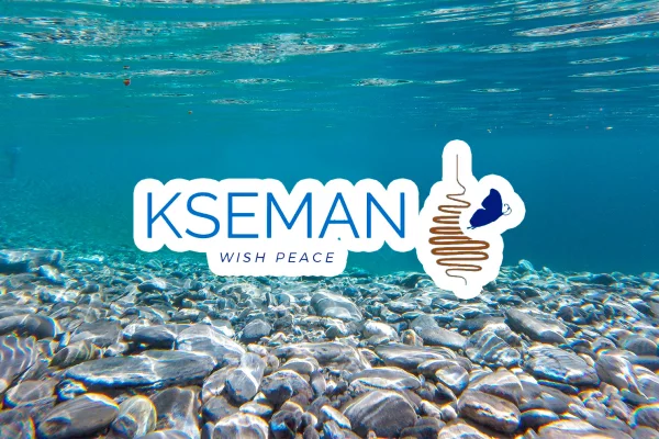 Actividades Realizadas por KSEMAN en 2023