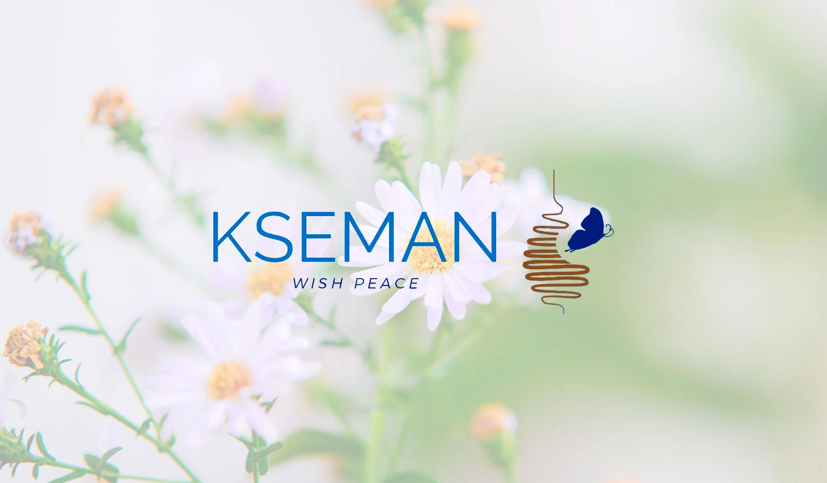 Balance Económico del 2022