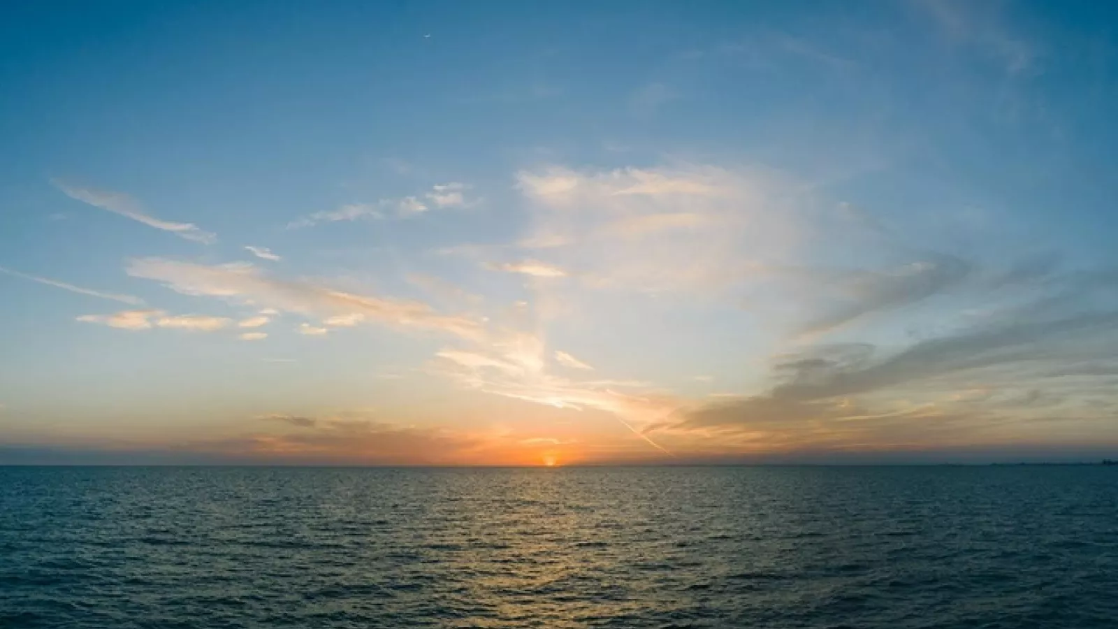 Personas que aman la vida